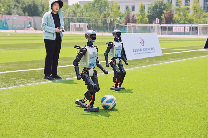 2026-2027国家混合桥牌队选拔赛观察记:桥牌之窗双向赋能体育消费及AI创新