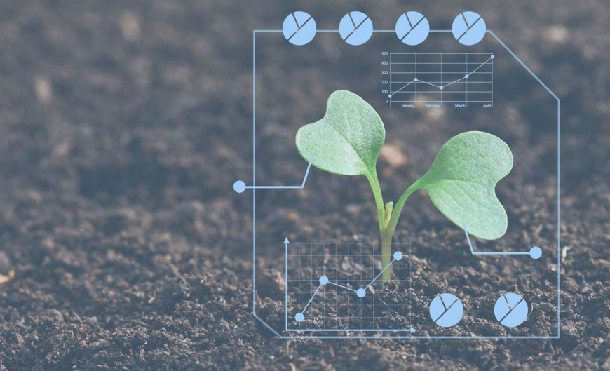 智驾竞赛已经卷向全价格段但行业还没有得出最佳答案(图1)