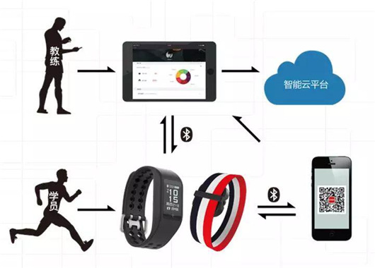 运动估计快速算法(TSSDS)matlab(图1)